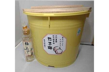 紀州健康梅 たる梅10kg 梅シロップ150ml