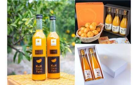 M508@yցz@݂W[XݔׁiQj