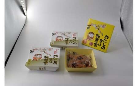 ぷらむ工房あじわい梅干セット