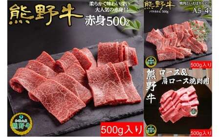 M514@yցz@F싍ևBiЈɐj