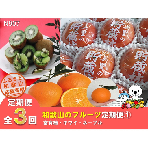 [全3回定期便]和歌山のフルーツ定期便①(富有柿・キウイ・ネーブル)