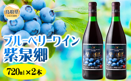 ブルーベリーワイン紫泉郷720ml 2本セット[数量限定]