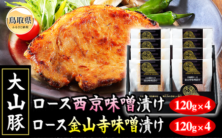 B24-450 RꁄXn R؃[XXЂZbg