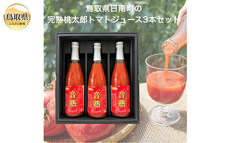 B24-459 挧쒬̃g}gW[XwnxR{Zbg