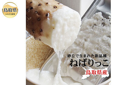 ねばりっこ[進物用]約2kg(2-3本入) ながいも 長芋 鳥取県産