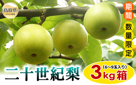 梨(二十世紀梨)[期間･数量限定]_T2600261