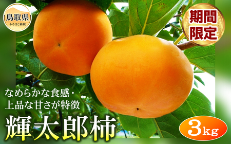 B24-053 柿(輝太郎柿)【期間限定】