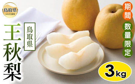 鳥取県産 王秋梨[期間･数量限定]
