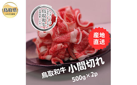 鳥取和牛小間切れ 冷凍500g×2
