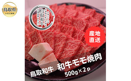 鳥取和牛モモ焼肉　冷凍500g×2_T2600319