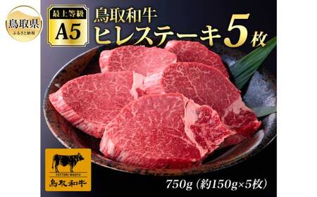 F25-017 ŏ㓙A5N aqXe[L@i5j