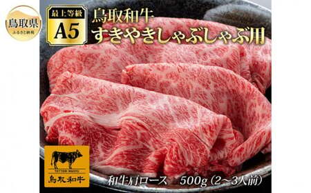 C25-030 ŏ㓙A5N a₫Ԃԗp(500gji2`3lOj