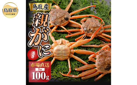 B25-054 y2025N11z挧Y  e pyZRKjziȂ܁jy󂠂z100g 5t