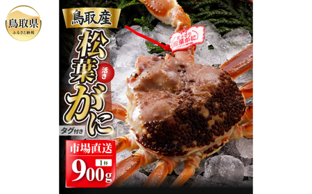 E25-019 y2025N11z tɁiȂ܁jyuh^Otz900g̑傫TCY H׉ 1t