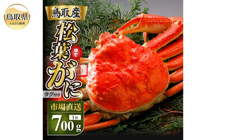 D25-021 y2025N11z tɁi䥁jyuh^Otz700g̑傫TCY H׉ 1t