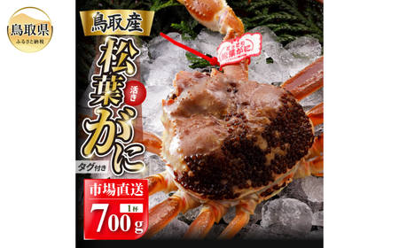 F25-022 【2025年12月発送】特撰 松葉がに（なま）【ブランドタグ付き】700g超の大きいサイズ 食べ応えあり 特大1杯