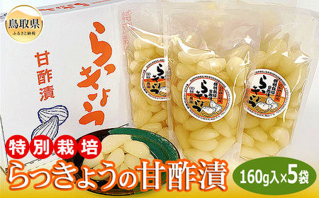 (※お歳暮専用※)特別栽培らっきょうの甘酢漬 鳥取県 おすすめ 砂丘らっきょう