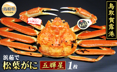 F25-024 iΕpjI`@l䥂ŏtɁ@܋PyԌz 挧  I` {C l䥂   Kj I tKj YCKj