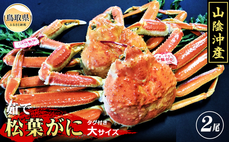 F25-025 iΕpjyz䥂Ł@tɁ@^Ot@TCY@2yԥʌz 挧  {C 䥂   Kj I tKj YCKj