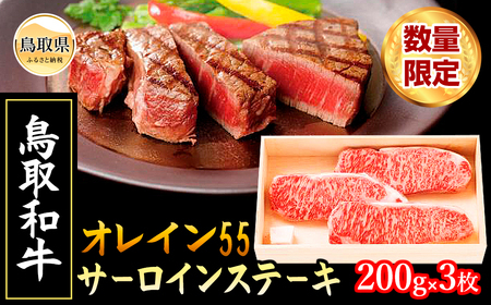 F25-026 iΕpjaIC55T[CXe[Lyʌz 挧  a a 600g  T[C uha IC55 Y