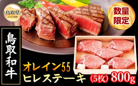 F25-027 iΕpjaIC55 qXe[Lyʌz 挧  a a 800g  q uha IC55 Y