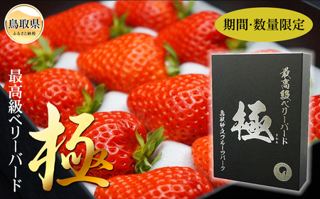 C25-047 最高級ベリーバード 『極』【期間･数量限定】