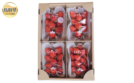 B25-088 【希少品種・鳥取県限定ブランド】とっておき苺（約200g×4パック）