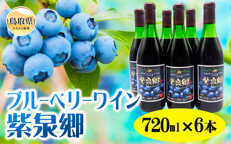 ブルーベリーワイン紫泉郷720ml 6本ｾｯﾄ【数量限定】_T2600004