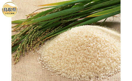 B24-036 RY@ʍ͔|@RVqJuCv5kg yʌz