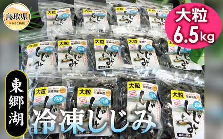 E24-008 ΗⓀ݁i嗱j 6.5kg