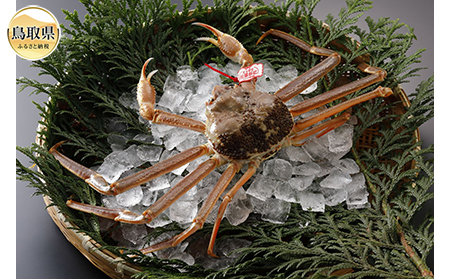 F24-009 挧Y@tɁi^Otj1yԌz