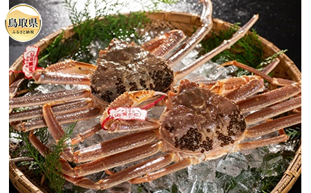 F24-064 挧Y@tɁi^Otj2yԌz