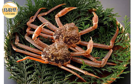 F24-065 挧Y@tɁi2jyԌz