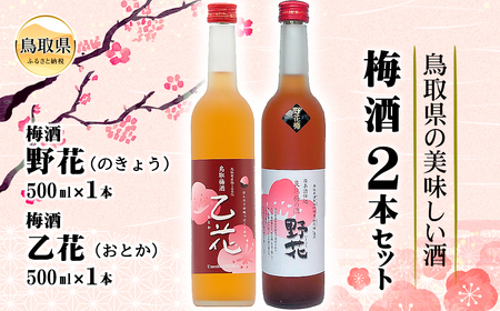 鳥取県の美味しい酒 梅酒 2本セットB