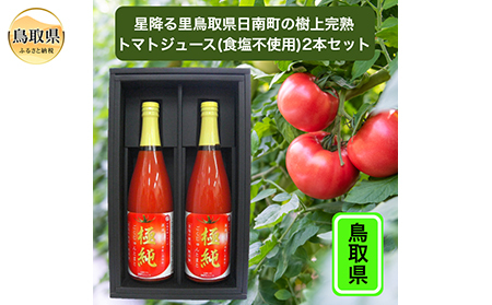 A24-244 挧쒬̃g}gW[X2{Zbg