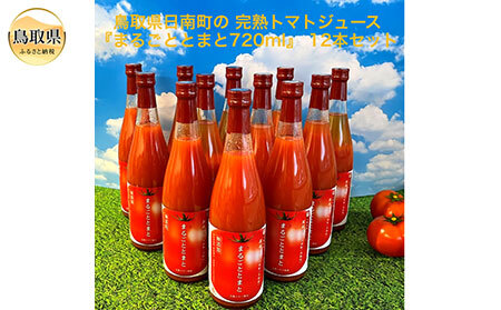鳥取県日南町のまるごととまと 12本セット
