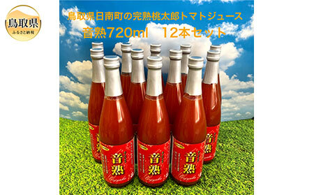 E24-070 挧쒬̊nYg}gW[X12{Zbg