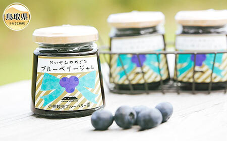 だいせんのめぐみブルーベリージャムセット
