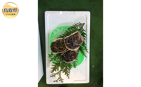 C24-105 【魚倉】鳥取県産 天然岩ガキお任せセット 3kg（5～18個）【期間限定】