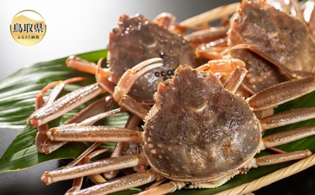 鳥取県産 活親がに[期間限定]