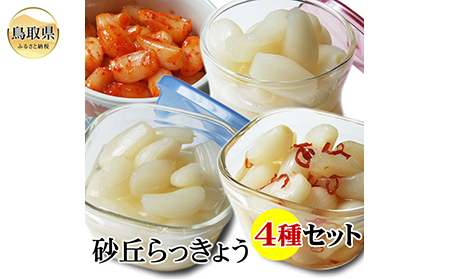 C24-135 砂丘らっきょう漬け4種セット！【甘酢漬け・ピリ辛漬け・二十世紀梨酢漬け・キムチ漬け】鳥取県産