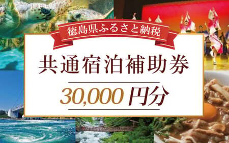 共通宿泊補助券 30,000円分 徳島 徳島 徳島 徳島 徳島