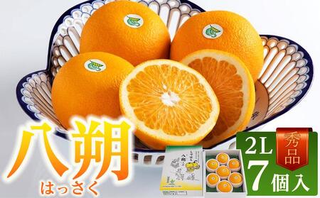 清流の里 仕出原の八朔 2L 7個入り (1箱) 2025年2月~発送