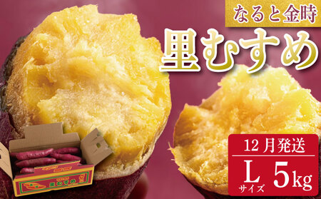 ȂƋ ނ LTCY 5kg 2025N12 ܂ LTCY   ȂƋ ނ  _ [P[L XC[g|eg  Ă t[c XC[c P[L 