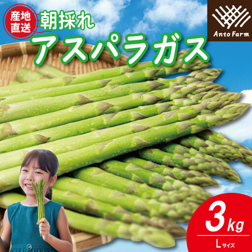 アスパラガス Lサイズ 3kg アスパラガス
