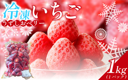 冷凍 いちご 苺 1パック 1kg うずしおベリー 冷凍イチゴ