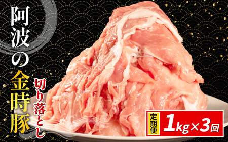 阿波の金時豚 切り落とし 定期便 3回 1kg 豚肉