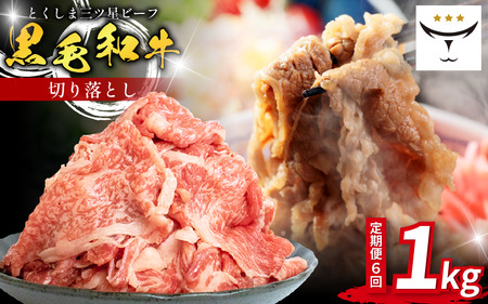 牛肉 切り落とし 定期便 1kg 6回 黒毛和牛