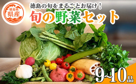 野菜 セット 9〜10品 単品 季節 旬 野菜 詰め合せ 国産 おまかせ 産地直送