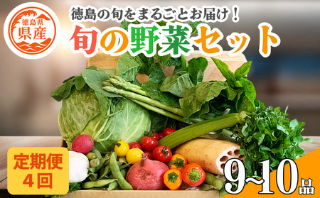 野菜 セット 9〜10品 定期便 4回 季節 旬 野菜 詰め合せ 国産 おまかせ 産地直送